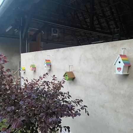 Matze Hoft 3 Etoiles *